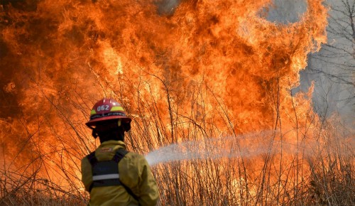 Advirtieron por riesgo de incendios forestales por las altas temperaturas en La Plata y alrededores