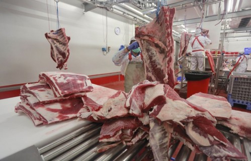 Advirtieron que debe reducirse el consumo de carne al menos 75% para mitigar el cambio climático