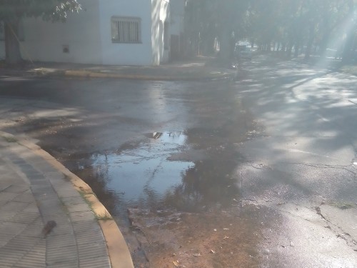 Vecinos alertaron la presencia de mosquitos por una pérdida de agua en El Mondongo