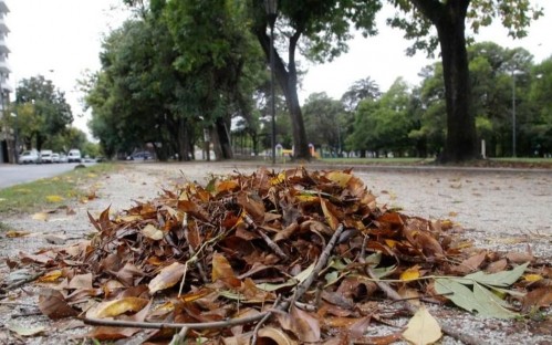 Las hojas tapan las veredas y los vecinos reclaman la falta de barrido
