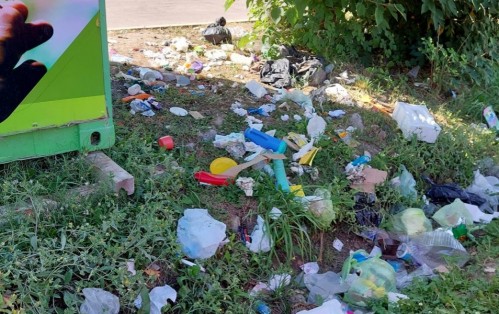 Acumulación de basura alrededor de los "Puntos Verdes" en La Plata