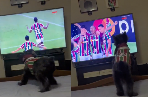 Furor por el perro futbolero que festeja los goles de Fluminense