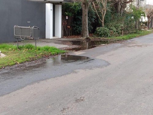 Vecinos platenses se quejan por una pérdida de agua que rompe las veredas