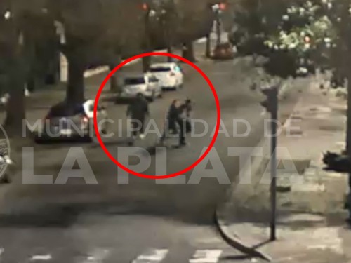Detuvieron al "Matón" que se peleaba con cuanta cosa se le cruce por las calles de La Plata