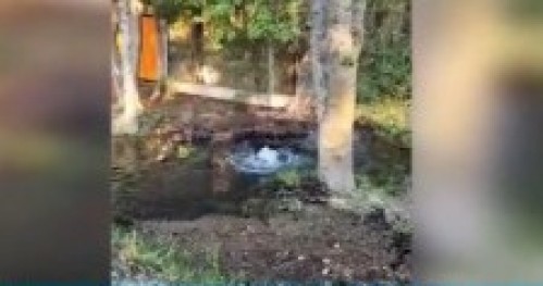 Vecinos de San Carlos reclaman por una perdida de agua: el agua llegó hasta el patio de las casas