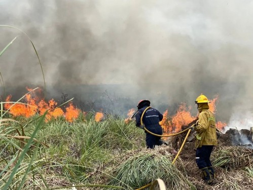 Grave incendio en Madariaga y Villa Gesell, bomberos de la región actúan para controlar los focos activos
