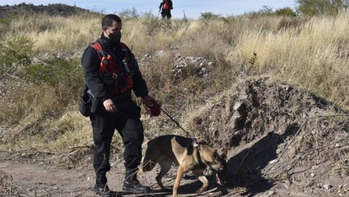Continúa la búsqueda de Guadalupe: una perra marcó una casa y una posible mancha de sangre