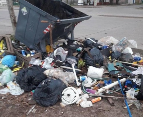 Amanecieron repletos de basura en un barrio de La Plata y temen foco infeccioso