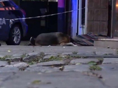 Murió un joven en situación de calle y su perro estuvo horas sin moverse de su lado