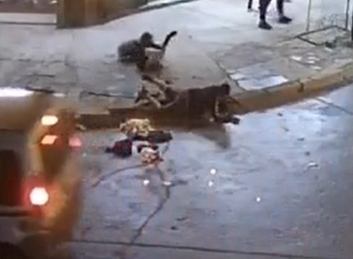 Fuerte choque entre una moto y una camioneta en Berisso: los dos ocupantes del rodado salieron despedidos