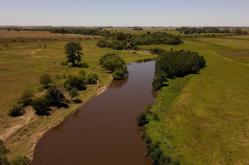 El municipio platense denunció ante la justicia las obras ilegales que se realizan en el humedal del arroyo El Pescado