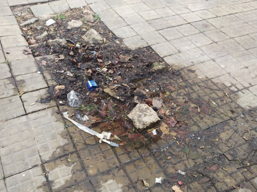 Ante los casos de dengue en La Plata, una vecina estalló de bronca contra un pozo de agua en su barrio