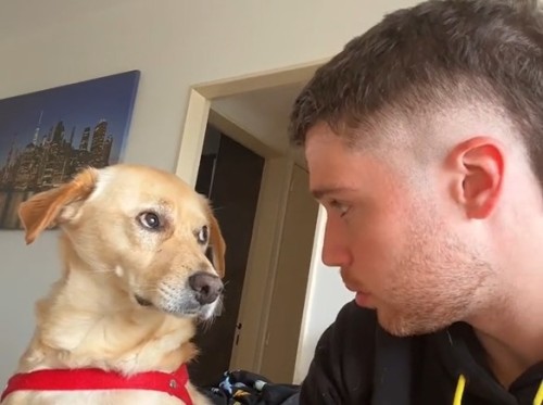 “¿Eras humano?”: un joven le hizo una curiosa pregunta a su perro y su increíble reacción se hizo viral