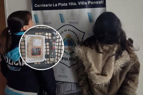 Detuvieron a una joven de 20 años en un supermercado de La Plata: quiso robar milanesas y una botella de vodka