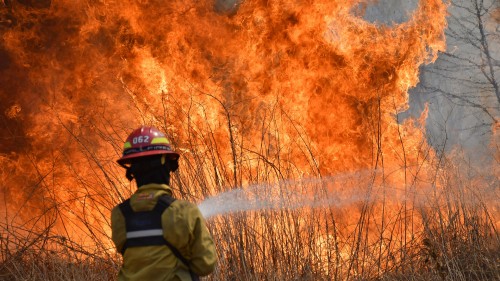 Nueva victima fatal del incendió forestal en Córdoba: Murió un joven tras graves quemaduras