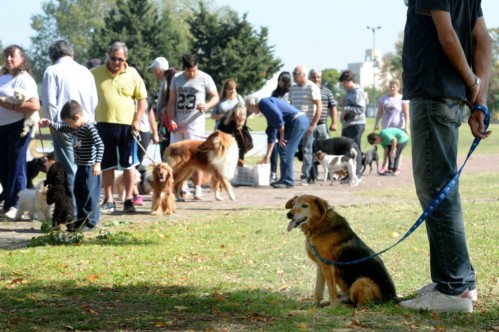 Se armó un debate sobre los perros en las plazas y se dividieron las opiniones de los platenses: “Ojalá nunca se…”