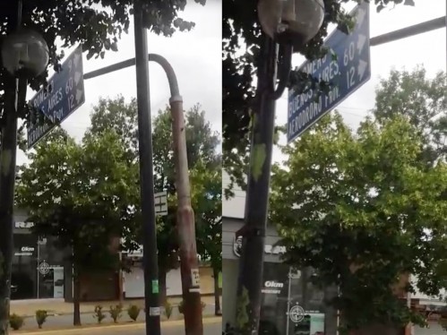 Denuncian peligro por un gran poste a punto de caerse en La Plata: "Lo ataron con alambre"