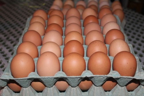 En La Plata venden huevos no aptos para el consumo humano: cómo darse cuenta