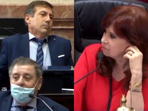 "Muy maleducados, horribles": Cristina Kirchner tuvo un fuerte cruce con senadores opositores en el debate por Ganancias
