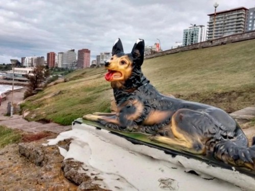 Tras la "Mujer mirando al mar", nueva estatua en Mar del Plata: "El perro" de Playa Chica