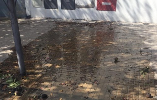 Un edificio de La Plata se quedó sin agua por una pérdida en la vereda