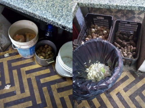 Horror en un restaurante de La Plata: cucarachas y comida en tachos en el piso