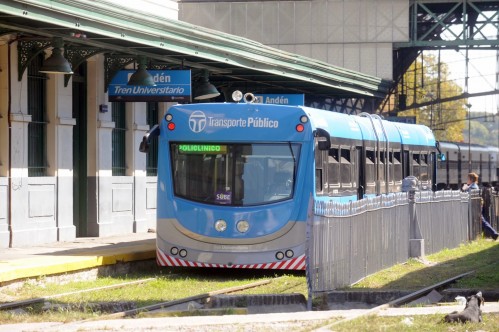 Vuelve el Tren Universitario de La Plata: cómo serán las nuevas frecuencias