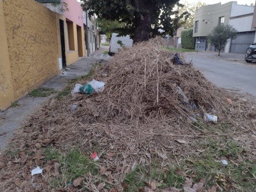 Una montaña de hojas y basura causa temor en La Loma