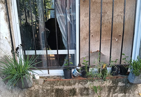 Mordidas, destrozos y cuchillazos en Los Hornos: un conflicto vecinal se salió de control y hubo una detenida