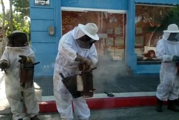 Cinematográfico ataque de abejas en Uruguay: hubo 32 heridos y hasta los comercios debieron cerrar