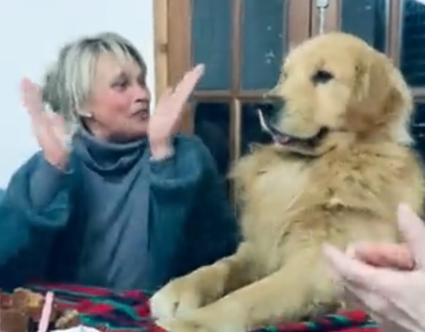 El emocionante cumpleaños que le hicieron a un perro y se volvió viral: "Te amo mucho"