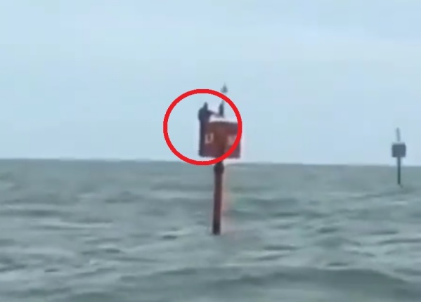 Un pescador pasó 48 horas aferrado a una boya e increíblemente sobrevivió: "Creí que me moriría de frío"