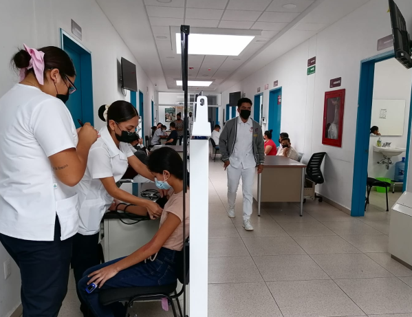 Bajaron los casos de dengue en la Provincia de Buenos Aires y pidieron vacunarse contra la gripe