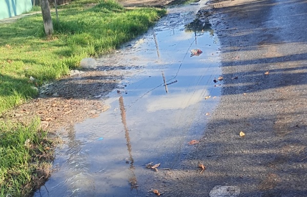 En 151 y 68 se quejaron por un desborde cloacal cada vez más importante