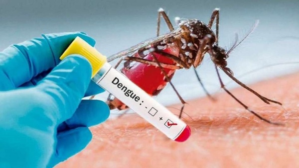Un informe revela la seguridad y eficacia de la vacuna contra el dengue