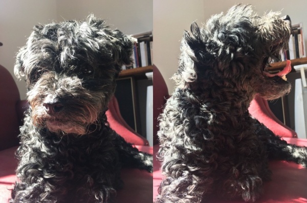 "No te conozco pero se me escapó una lágrima", un tuit con una historia muy tierna que se volvió viral, y emocionó a todos