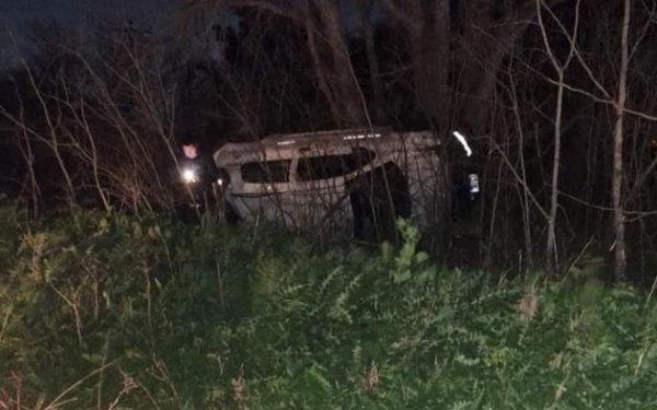 Un conductor volcó en Camino Centenario porque se le cruzó un caballo: trabajadores aseguran que "no hay que confiarse"