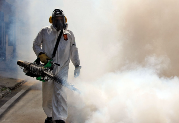 Alerta por el dengue: fumigarán en Villa Elisa, City Bell, San Carlos, Los Hornos, Olmos y Melchor Romero este lunes