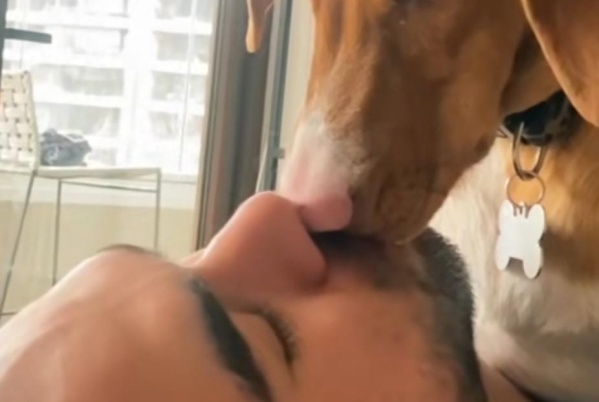 "Amor puro hacia su papá": filmó a su perro besando a su dueño y enterneció a todos los usuarios