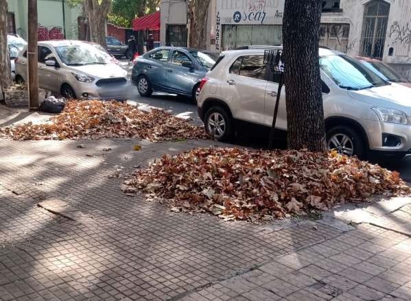 Vecinos de Parque Saavedra reclamaron por la falta de limpieza en una cuadra