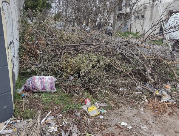 Montaña de ramas y un contenedor inoportuno: la bronca de una vecina de Los Hornos