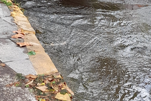 Una 'laguna' en las inmediaciones del Teatro Argentino: "Sucede desde hace varios años"