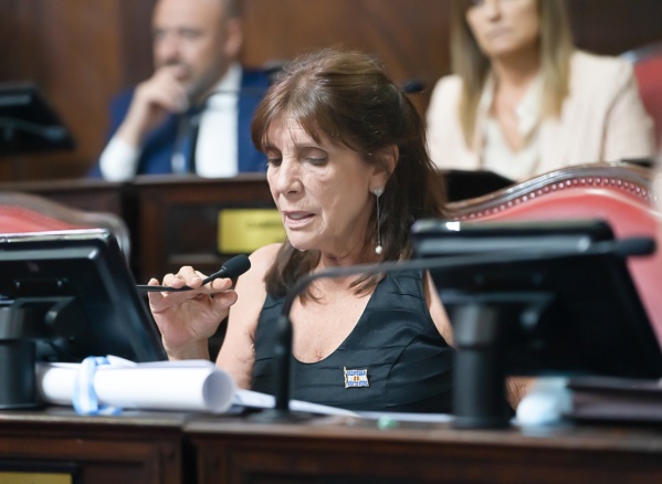 Senadores bonaerenses del Frente de Todos repudiaron el ataque de Espert a Néstor Kirchner: "Es una actitud cobarde"