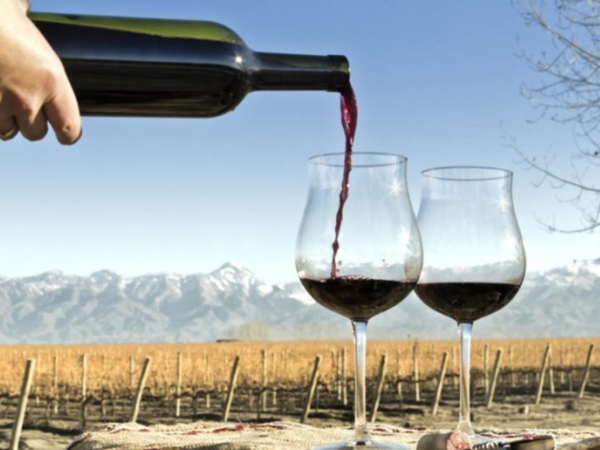 Se celebra 20 años de la declaración del vino como bebida nacional
