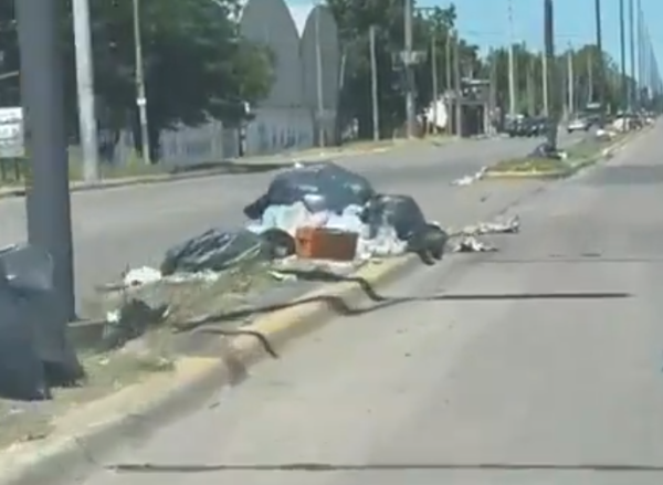 Vecinos pidieron una solución urgente a la acumulación de basura en la avenida 44