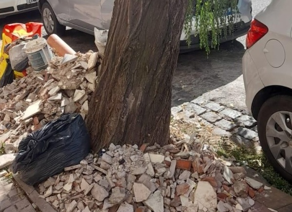 Vecinos de 2 y 50 alertaron por un árbol que puede caerse