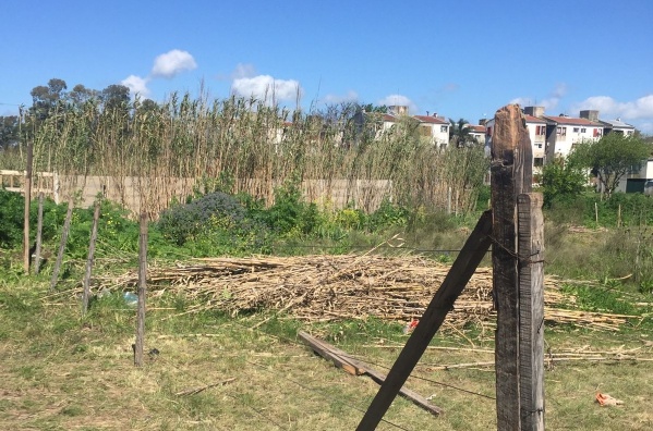 Acusaciones y denuncias en Villa Elvira tras el intento de usurpaci&oacute;n de un terreno