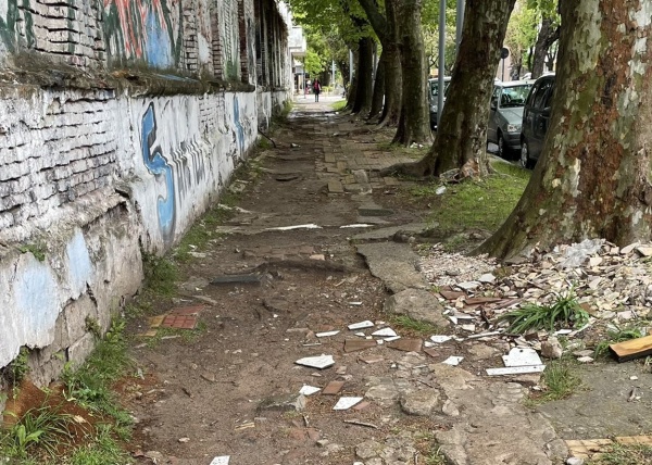 Una platense mostr&oacute; una cuadra de diagonal 73 y estallaron las cr&iacute;ticas: "Es un milagro que nadie se haya desnucado"