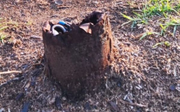 Metales oxidados y cables sueltos: la trampa mortal a la que se enfrentan los nenes en Parque Saavedra