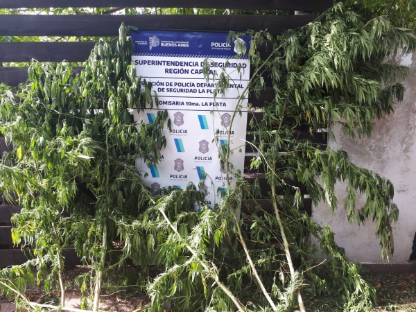 Se aprovech&oacute; de la discapacidad de su vecina para ingresar a robar a la casa: le secuestraron una moto robada y marihuana